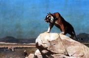 Jean Leon Gerome Tiger on the Watch china oil painting artist